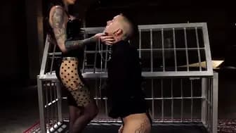 Reckless Surrender