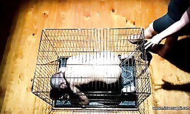 DominatrixApril's Kinky Adventures with Her Boyfriend" or "BDSM Couple Playing Out Their Fantasies With Dominance And Submission