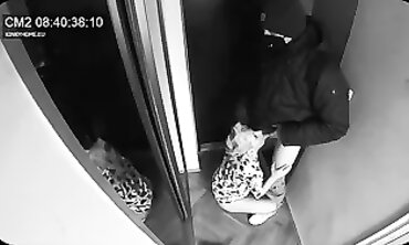 Exclusive Footage" or "Sneaky Cameras Capture Real Life Cheating Wives" or "Reality Porn with homemade Reveals Postal Worker's Secret Affair".