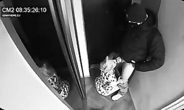 Exclusive Footage" or "Sneaky Cameras Capture Real Life Cheating Wives" or "Reality Porn with homemade Reveals Postal Worker's Secret Affair".