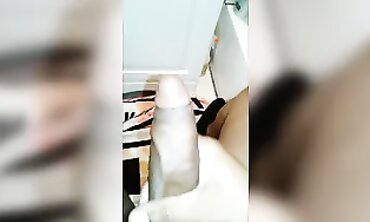 BBC's Biggest Blowjob Compilation - Top Rated Pornstars