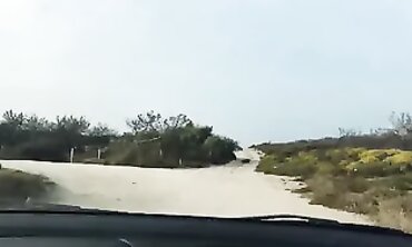 Ex Wifes Beach Vacation Turns Into A Wild Interracial Threesome
