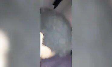 Hot Guy Eats Out A Hunk's Ass And Swallows His Load