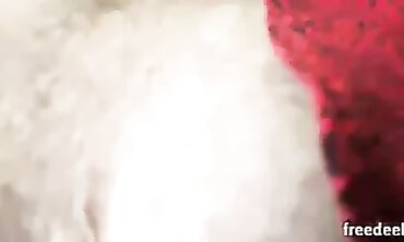 First Time Anal With Nephew At Home - Teen Newbie Gets Her Ass Fucked