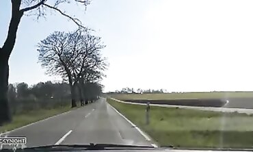 Cougar Hundin Fickt Anal