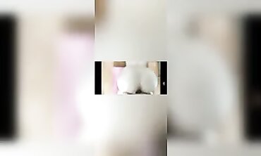 POV Rear End Fashion Compilation II