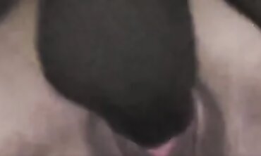 Beauty The MILF Ex-Wife Climaxes In Interracial Cuckold Action