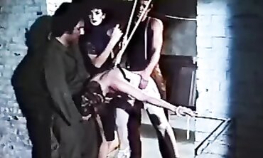 Ron Jeremy Anal Fucks Bound MILF Troy Scalpini
