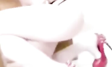 Mozza Soreia Gamda