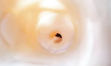 POV Rough Sex With A Big Dildo And Creampie