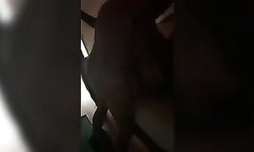 My Brunette Fiance Gets Bullfucked by a Nice Guy