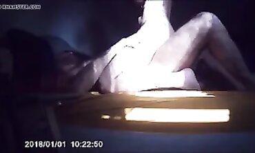Swift and Noisy Hardcore MILF Action