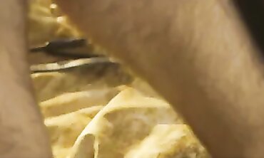 Marina Beaulieu: Lingerie Milf Orgy Sub