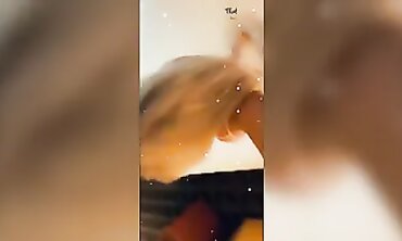 Texas Thot: IG & TikTok Internet Hookers