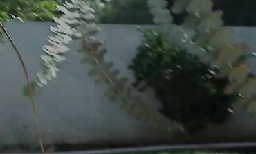Arse To Jaws, Getting Off, Hand Job, Orb Boning, Facial Cumshot Cum Shot, Oral, One on One, Wooly Labia, Outdoors, Buttfuck