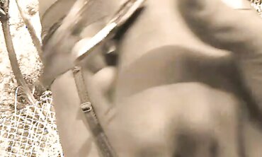 Chinese Lucy Lee Penetrated In The Backside And Dual Buttfuck Too