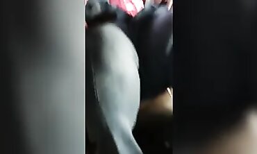 BBW MILF Trades Sex With Stranger Outside for Cash