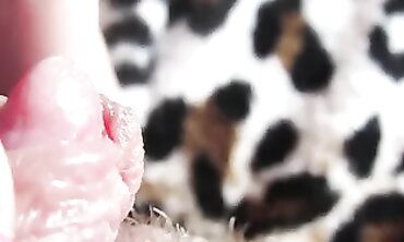 Ultra Close-Up of Hairy MILF's Slippery Pussy