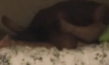 Creeping Over to My PHAT White Neighbor for Rough Interracial Sex