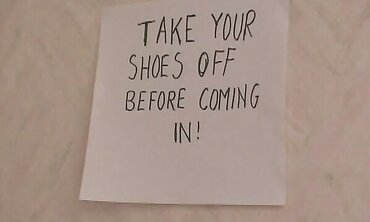 Oral Pleasure, New Faces, legitimate+, One on One, Puny Breasts, Getting Off, Bald Vag, Facial Cumshot Pop-Shot