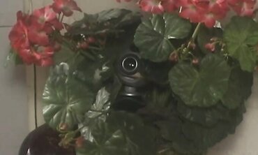 Onanism, Clean-Shaven Cunt, Facial Cumshot Cum Shot, Suck Off, Undergarments, Stocking, Three-Way, Hj, Frigging, Petite Baps