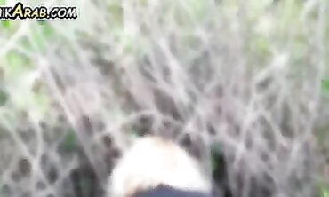 Nik Arab Gets Poked: Outdoor Anal Invasion
