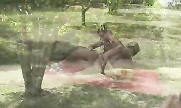 Mya Lorenn Gets Anal In The Park