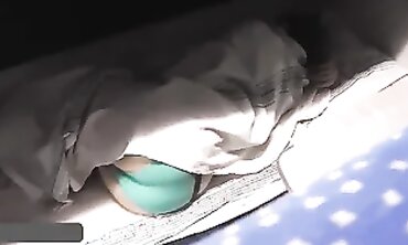 Hidden Cam: Busty Bimbo Jacks Off on the Train