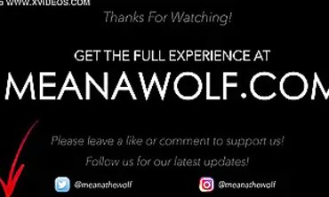 Meana Wolf POV Competition
