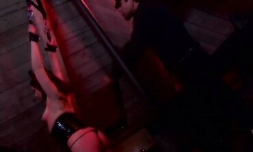 Tiny Bit More Is A Gothic Sheer Pleasure