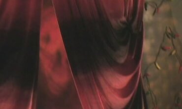Oral Job, Smooth-Shaven Vulva, college-aged+, One on One, Smallish Baps, Onanism, Facial Cumshot Popshot