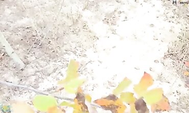 POV: Stranger Lumberjack Jizzes Into My Panties
