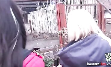 POV Hardcore Threesome with Sex Toys and Handjob
