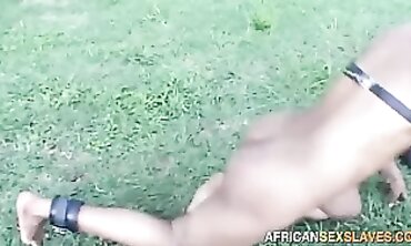 Tethered African Slave Ambled As Pet by African Tormentor