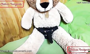 Plowed by an Unshaved Animated Grizzly Bear
