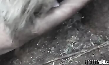 Ava Devine Stalked In The Dark Woods