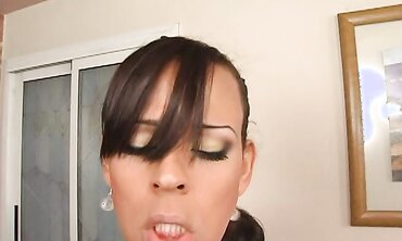 DAMSELS FILLING NUTS - KENDRA