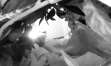 Secretly Recorded Brunette Masturbating With Vibrator