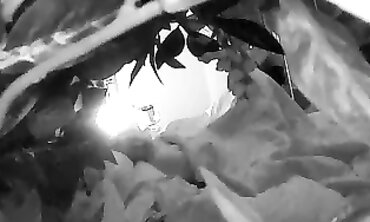 Secretly Recorded Brunette Masturbating With Vibrator