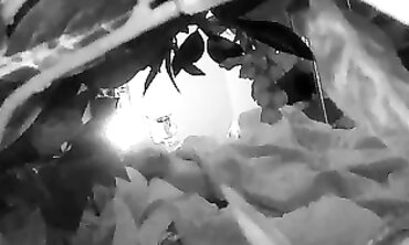 Secretly Recorded Brunette Masturbating With Vibrator