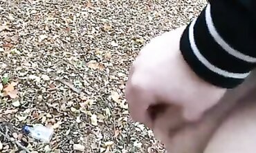 Hanna Secret Gets Fucked In The Park