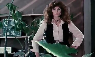 Kay Parker & R. Bolla: Classic BGG in Lingerie