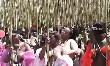 Ebony Bimbos Flashing Huge Asses in Public