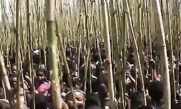 Ebony Bimbos Flashing Huge Asses in Public