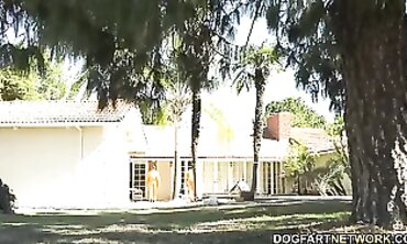 Eliza Ibarra Takes a Massive BBC in Hotwife Sessions