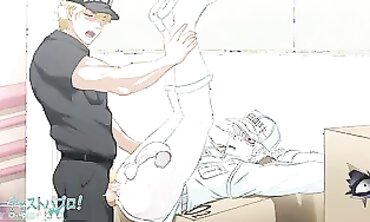 Uncensored Cells at Work Hentai Animation