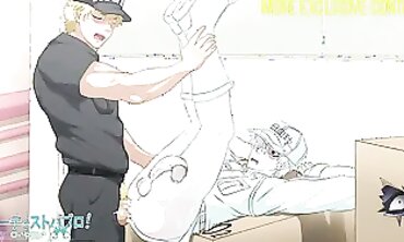 Uncensored Cells at Work Hentai Animation