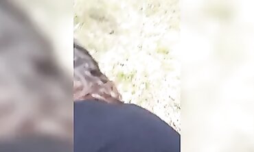 Brunette MILF Humped by Bull in Public Outdoor