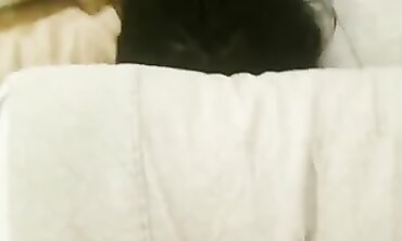 NO GREASE PAINAL: Brunette Oriental Girlfriend Farts