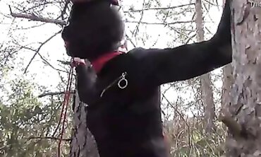 Hooded Latina Beauty Bound to Tree for Rough Outdoor Blowjob
